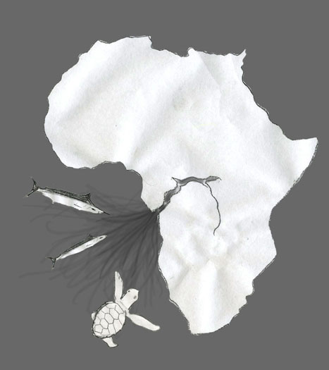 congo_web