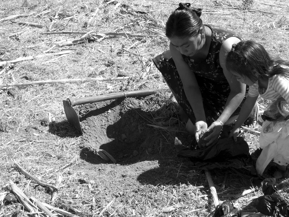 Madre de familia sembrando nuevas semillas tras la pérdida de su cultivo, Departamento de San Miguel, invierno 2015. Fotografía de FUNDESA.