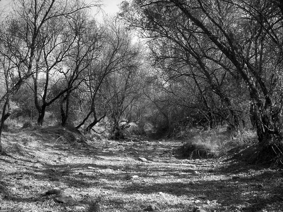 Río Milagros completamente seco a su paso por el norte de la provincia de Ciudad Real.Fotografía de Raúl Urquiaga.