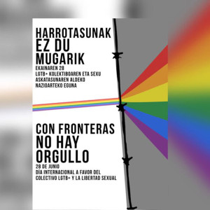 Cartel del día internacional a favor del colectivo LGTB+ y la libertad sexual. Fuente: Coordinadora del 28-J del País Vasco.