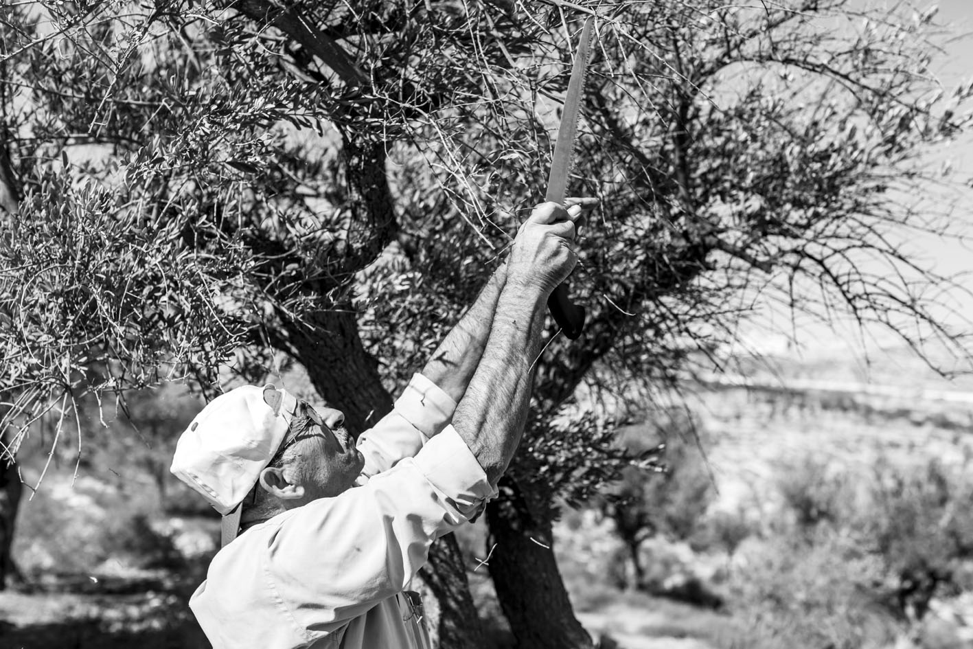 Fotografía: Elias Halabi.
